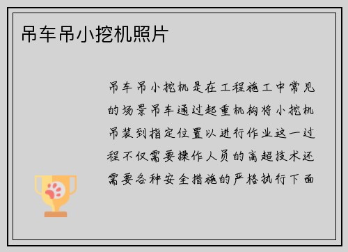 吊车吊小挖机照片 吊车吊小挖机照片