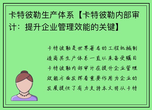 卡特彼勒生产体系【卡特彼勒内部审计:提升企业管理效能的关键】
